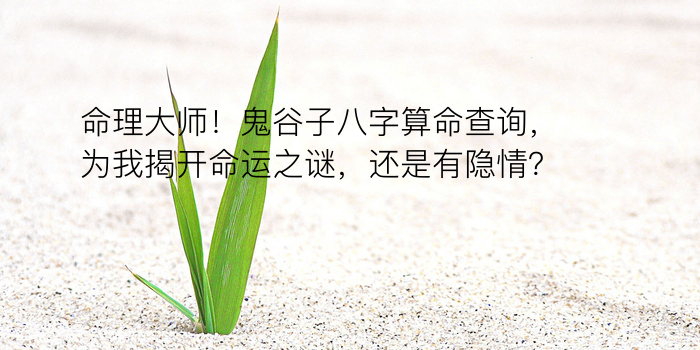 用生辰八字免费起名游戏截图