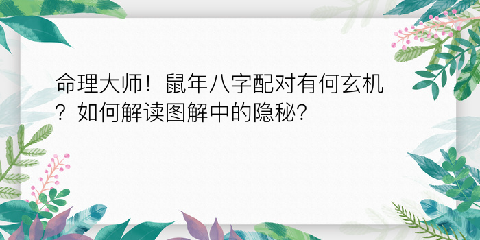 算姻缘八字配对游戏截图