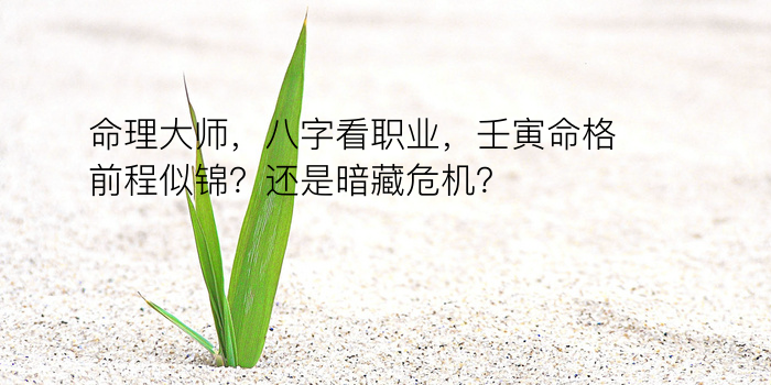 命理大师，八字看职业，壬寅命格前程似锦？还是暗藏危机？