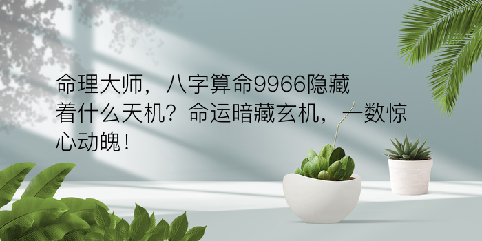 称骨算命女命版游戏截图