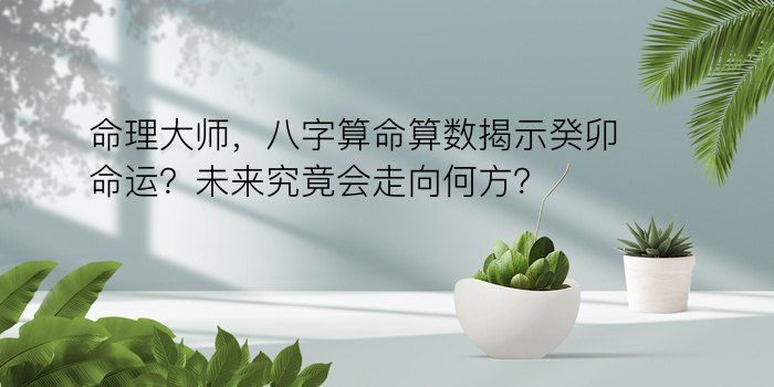 八字算命重量游戏截图