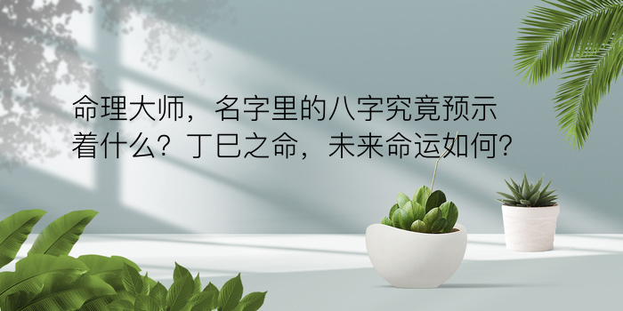 称骨算命法表游戏截图