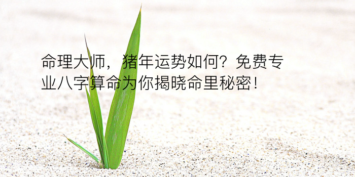 命理大师，猪年运势如何？免费专业八字算命为你揭晓命里秘密！