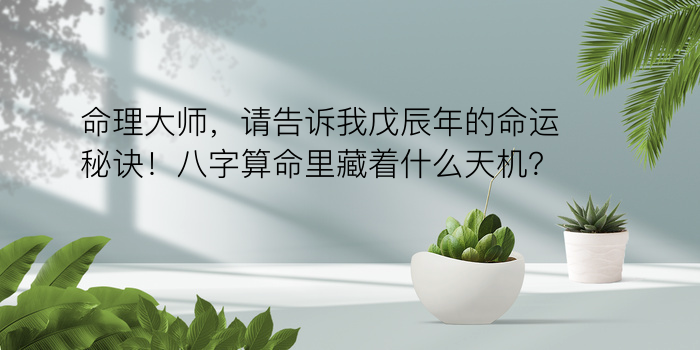 算命八字排盘游戏截图