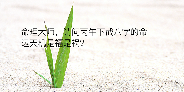 命理大师，请问丙午下截八字的命运天机是福是祸？