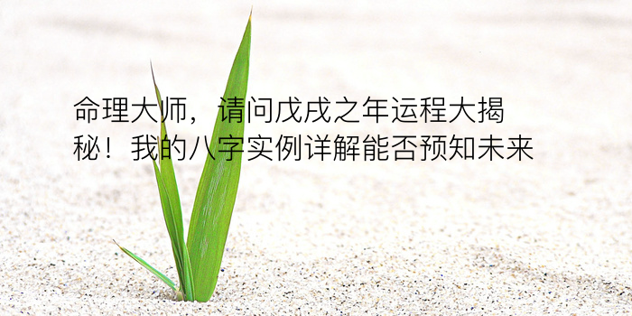 算八字看运程游戏截图