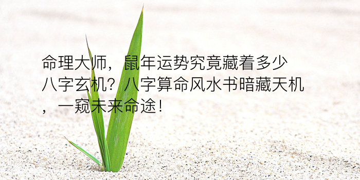 测生辰八字算命运游戏截图