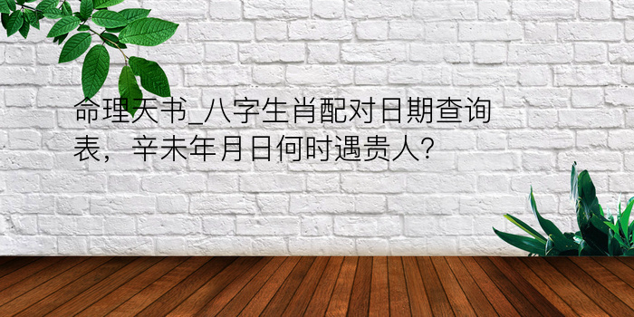 命理天书_八字生肖配对日期查询表，辛未年月日何时遇贵人？