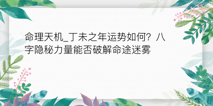 命理天机_丁未之年运势如何？八字隐秘力量能否破解命途迷雾