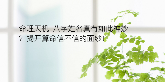 生晨八字起名游戏截图