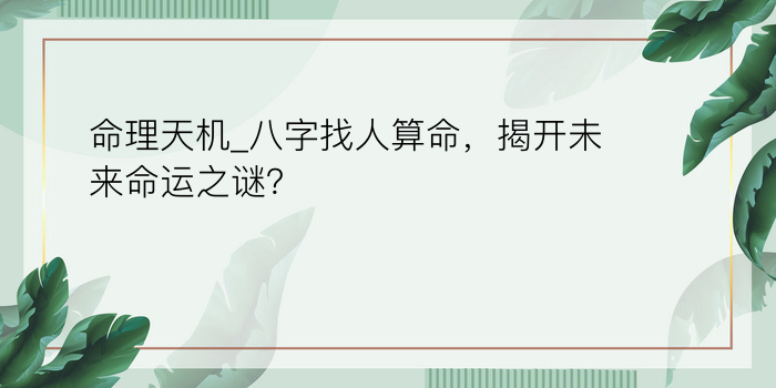 鸡婚配属相最好游戏截图