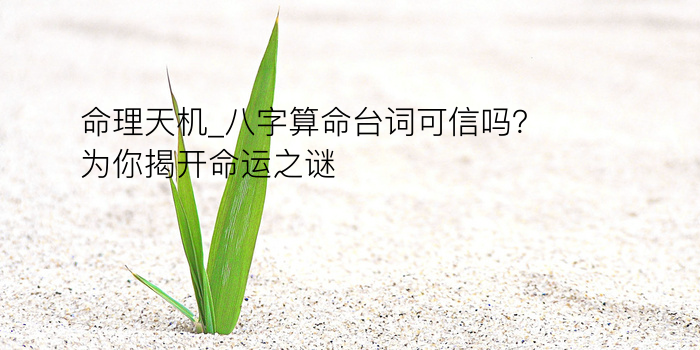 八字算五行游戏截图