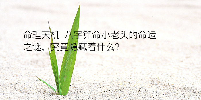 命理天机_八字算命小老头的命运之谜，究竟隐藏着什么？