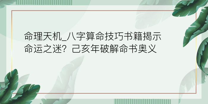 华易算命网八字排盘游戏截图