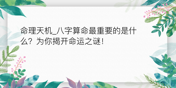 命理天机_八字算命最重要的是什么？为你揭开命运之谜！