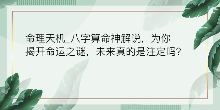 命理天机_八字算命神解说，为你揭开命运之谜，未来真的是注定吗？