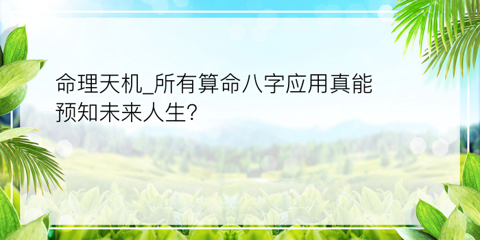 生辰八字起名测名打分游戏截图