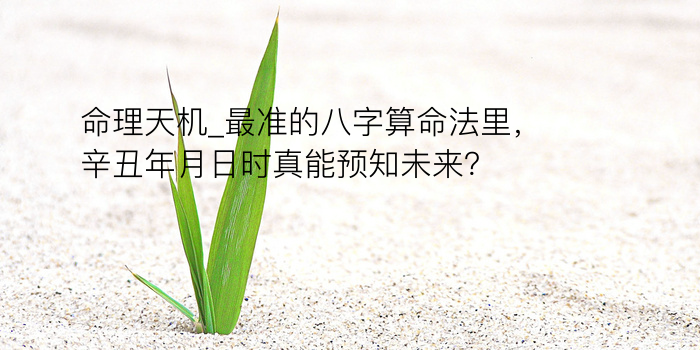 八字准确算命游戏截图