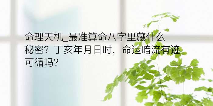 八字算命桃花游戏截图