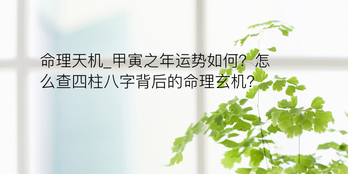 命理天机_甲寅之年运势如何？怎么查四柱八字背后的命理玄机？