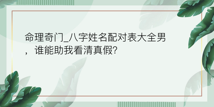 运程网八字游戏截图