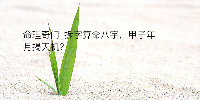 命理奇门_拆字算命八字，甲子年月揭天机？