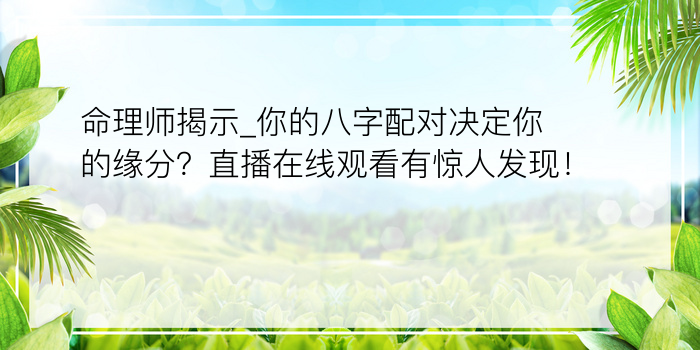 免费全面八字起名100分游戏截图