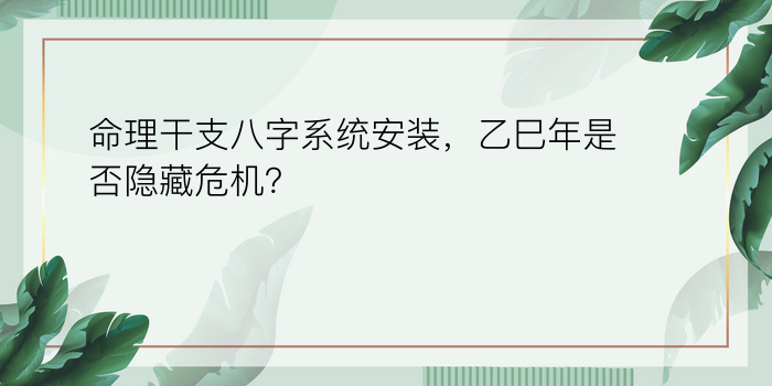 命理干支八字系统安装，乙巳年是否隐藏危机？