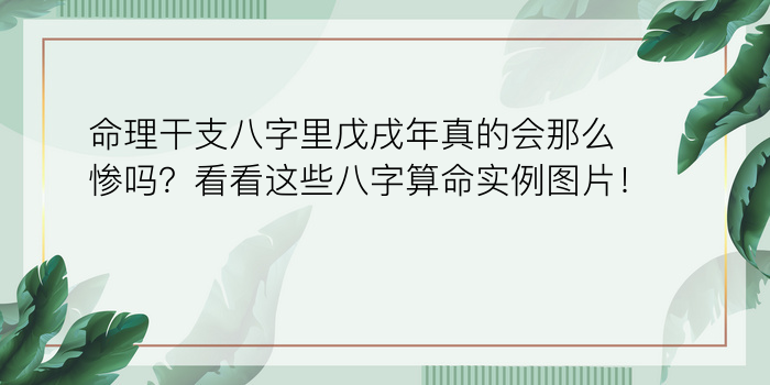 属猴的属相婚配游戏截图