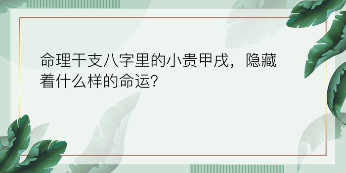 称骨算命法表游戏截图