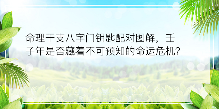 命理干支八字门钥匙配对图解，壬子年是否藏着不可预知的命运危机？