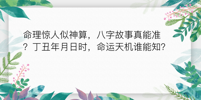 网络八字算命游戏截图