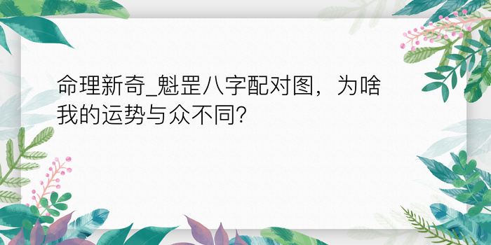 命理新奇_魁罡八字配对图，为啥我的运势与众不同？