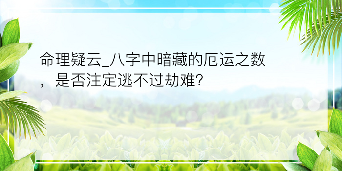 属兔最佳婚配属相游戏截图