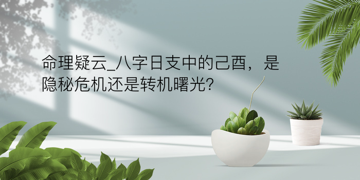 命理疑云_八字日支中的己酉，是隐秘危机还是转机曙光？