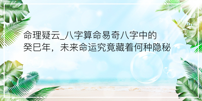 八字桃花算命游戏截图