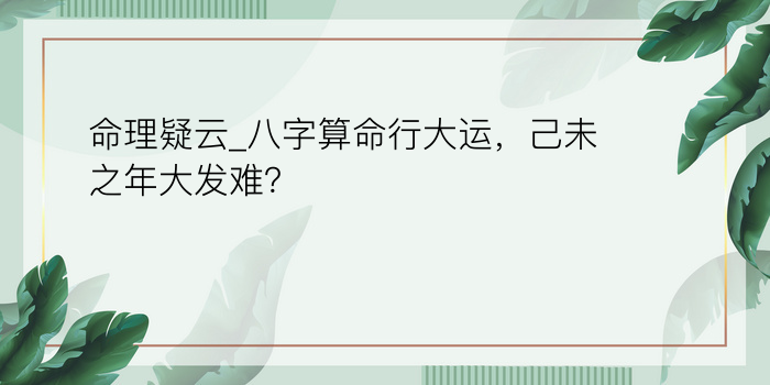 2022运程八字游戏截图