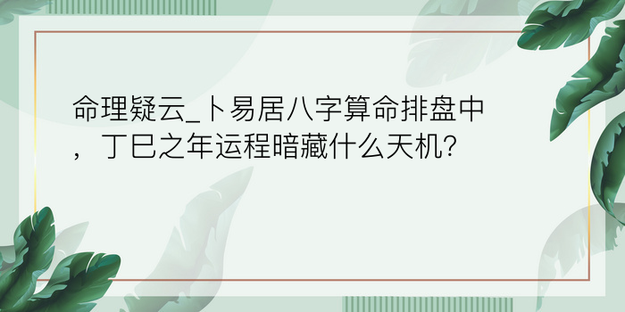 八字中的运程二十年游戏截图