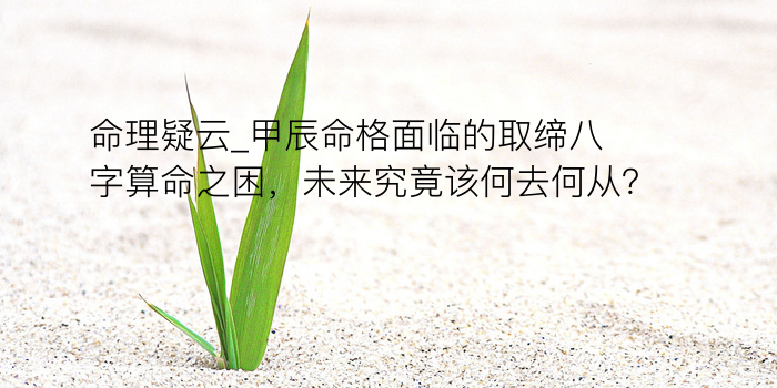 生晨八字算命游戏截图