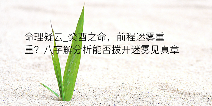 八字免费排盘算命游戏截图