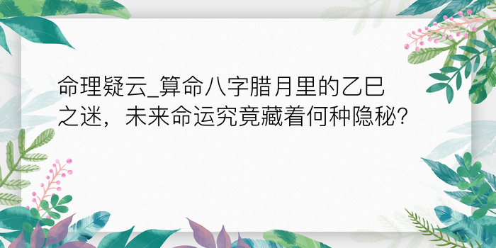 八字论月运程游戏截图