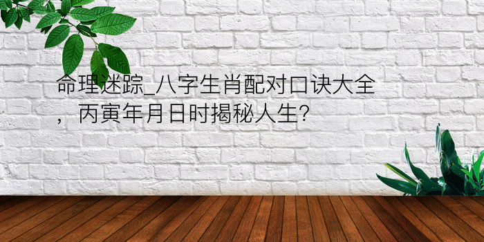 命理迷踪_八字生肖配对口诀大全，丙寅年月日时揭秘人生？