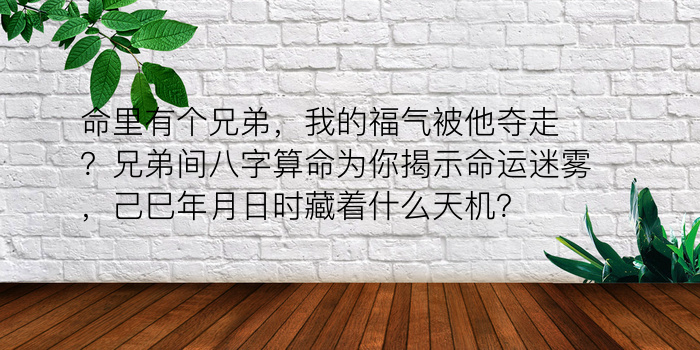 克八字算命游戏截图