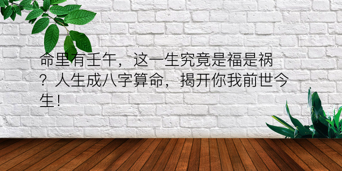 命里有壬午，这一生究竟是福是祸？人生成八字算命，揭开你我前世今生！