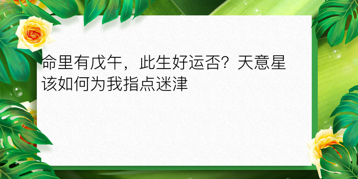 命里有戊午，此生好运否？天意星该如何为我指点迷津