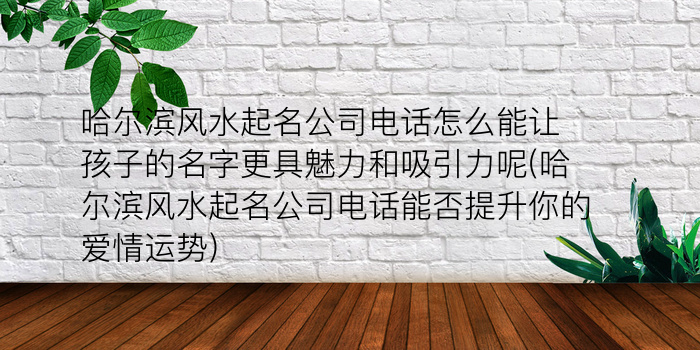 哈尔滨风水起名公司电话怎么能让孩子的名字更具魅力和吸引力呢(哈尔滨风水起名公司电话能否提升你的爱情运势)