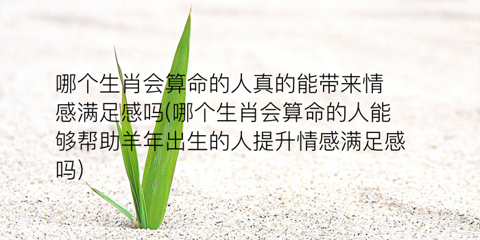 生肖下周运势游戏截图