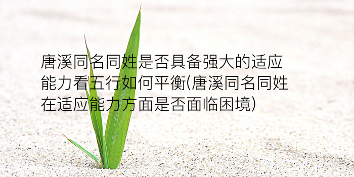 取名周易好吗游戏截图