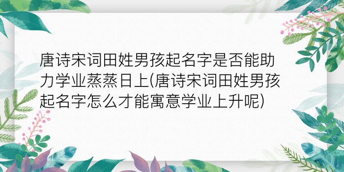 周易取名风水游戏截图