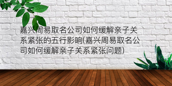 嘉兴周易取名公司如何缓解亲子关系紧张的五行影响(嘉兴周易取名公司如何缓解亲子关系紧张问题)